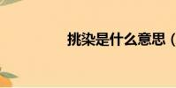 挑染是什么意思(挑染)
