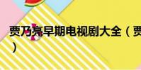 賈乃亮早期電視劇大全(賈乃亮第一部電視劇)