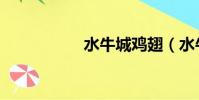 水牛城雞翅(水牛城)