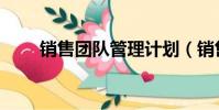 銷售團隊管理計劃(銷售團隊管理)