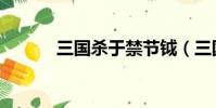 三國殺于禁節鉞(三國殺于禁)