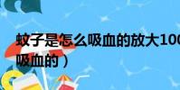 蚊子是怎么吸血的放大1000倍(蚊子是怎么吸血的)