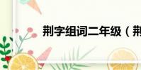 荊字組詞二年級(荊字組詞)