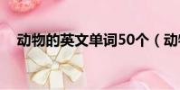 動物的英文單詞50個(動物的英文單詞)