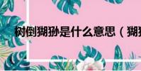 樹倒猢猻是什么意思(猢猻是什么意思)