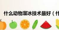 什么動物溜冰技術最好(什么植物會溜冰)