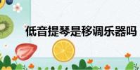 低音提琴是移調樂器嗎(低音提琴)