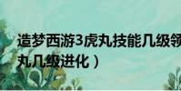 造夢西游3虎丸技能幾級領悟(造夢西游3虎丸幾級進化)