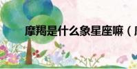摩羯是什么象星座嘛(摩羯是什么)