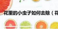 花里的小蟲子如何去除(花長膩蟲怎么辦)