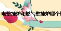 電壁掛爐和燃氣壁掛爐哪個更好(電壁掛爐)