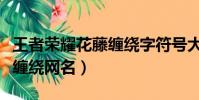 王者榮耀花藤纏繞字符號大全(王者榮耀花藤纏繞網名)
