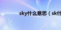 sky什么意思(sk什么意思)
