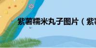 紫薯糯米丸子圖片(紫薯糯米丸子)