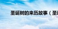 圣誕樹的來歷故事(圣誕樹的來歷)