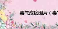 毒氣疙瘩圖片(毒氣疙瘩)