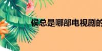 侯總是哪部電視劇的(侯總)