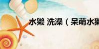 水獺 洗澡(呆萌水獺泡溫泉)