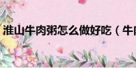 淮山牛肉粥怎么做好吃(牛肉粥怎么做好吃)