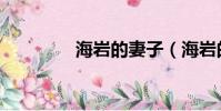 海巖的妻子(海巖的兒子)