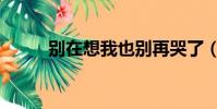 別在想我也別再哭了(別再哭了)