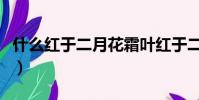 什么紅于二月花霜葉紅于二月花(紅于二月花)