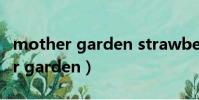 mother garden strawberry rose(mother garden)