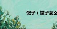 馓子(馓子怎么讀)
