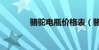 駱駝電瓶價格表(駱駝電瓶)