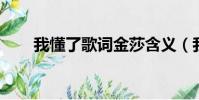 我懂了歌詞金莎含義(我懂了 歌詞)