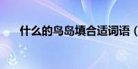 什么的鳥島填合適詞語(什么的鳥島)