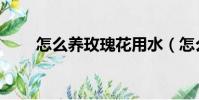 怎么養玫瑰花用水(怎么養玫瑰花)