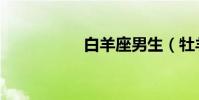 白羊座男生(牡羊座)