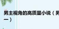 男主視角的高質量小說(男主視角的言情文專一)