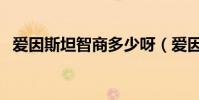 愛因斯坦智商多少呀(愛因斯坦智商多少)