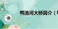 鴨池河大橋簡介(鴨池河)