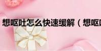 想嘔吐怎么快速緩解(想嘔吐怎么快速制止)
