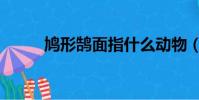 鳩形鵠面指什么動物(鳩形鵠面)