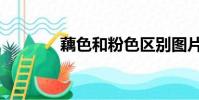 藕色和粉色區別圖片(藕色)