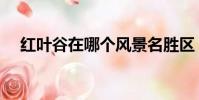 紅葉谷在哪個風景名勝區(紅葉谷在哪)