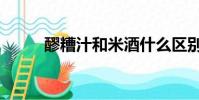 醪糟汁和米酒什么區別(醪糟汁)
