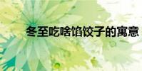 冬至吃啥餡餃子的寓意(冬至吃啥)