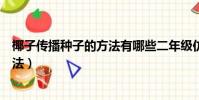 椰子傳播種子的方法有哪些二年級仿寫(椰子傳播種子的方法)