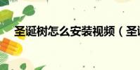 圣誕樹怎么安裝視頻(圣誕樹怎么安裝)