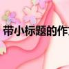 帶小標題的作文我的同桌（帶小標題的作文）