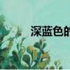 深藍色的海盜旗（深藍的海盜旗）
