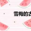 雪梅的古詩帶拼音（雪梅的古詩）