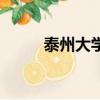 泰州大學有哪些學校（泰州大學）