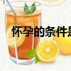 懷孕的條件是什么?（懷孕的條件是什么）