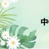 中保車險電話（中保）